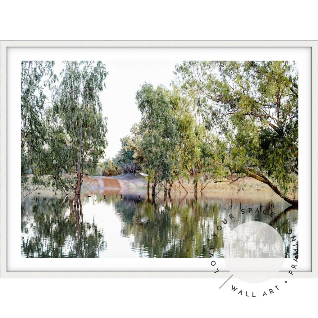 The Darling River Gum Trees II - Love Your Space