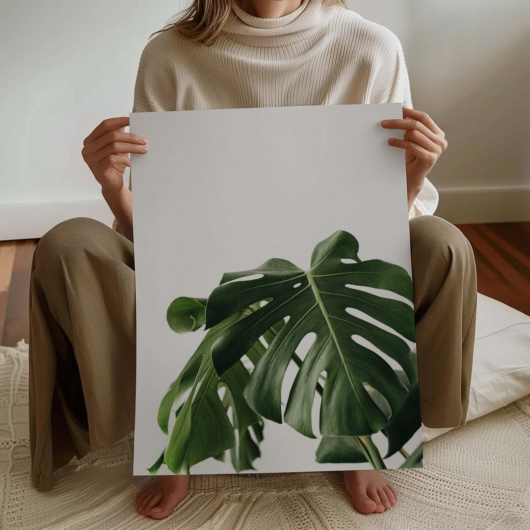Monstera Leaf