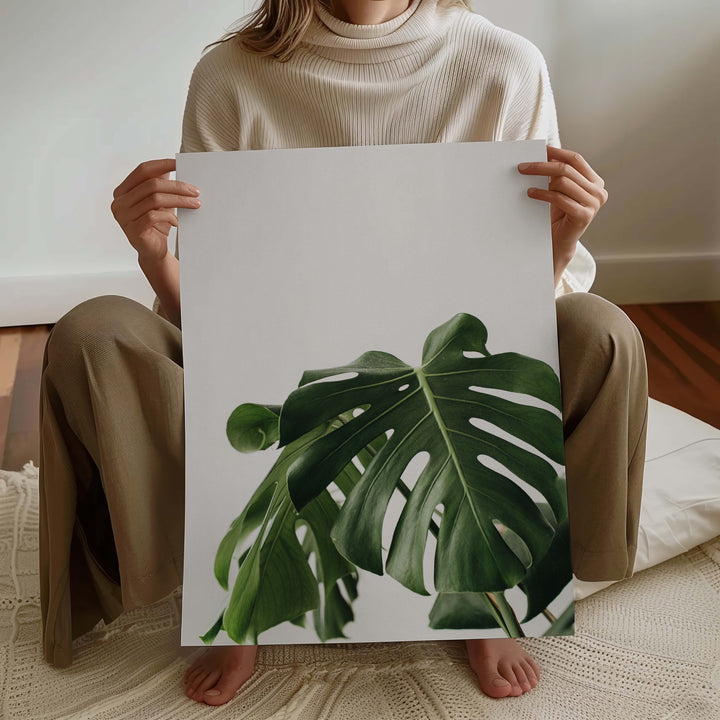 Monstera Leaf
