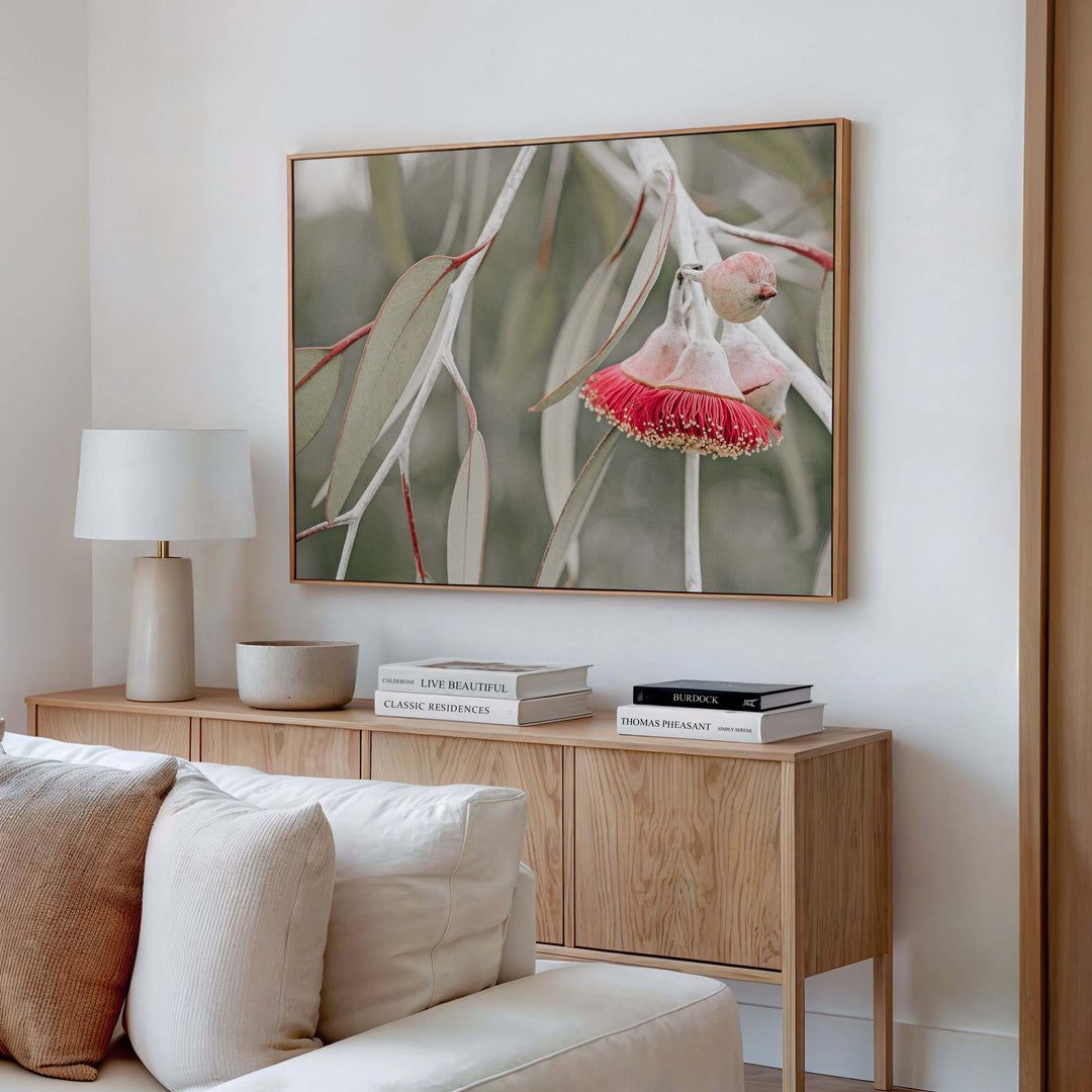 Red Eucalyptus Blossom III