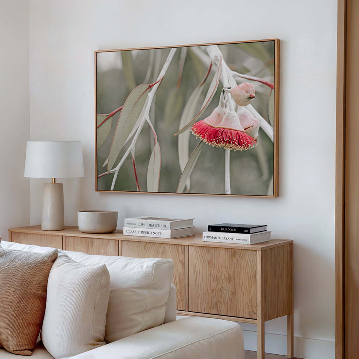 Red Eucalyptus Blossom III