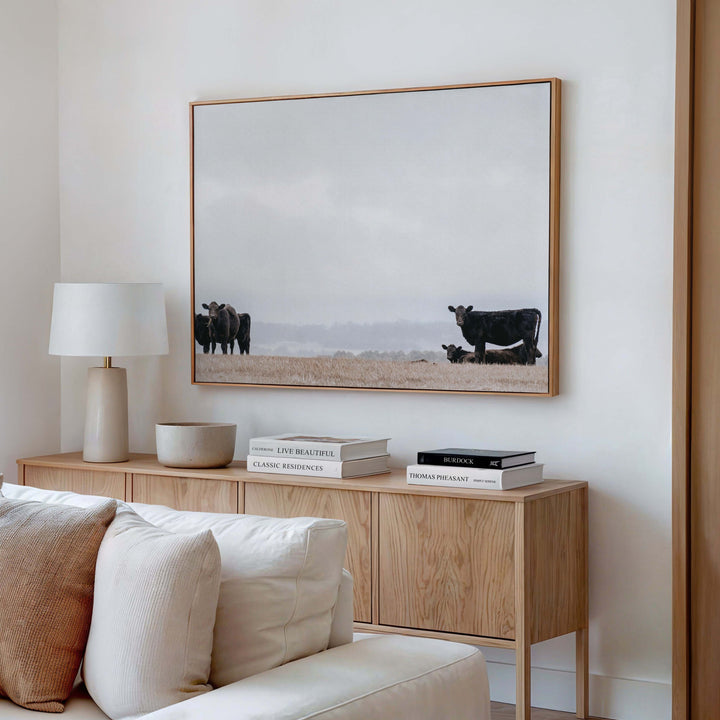 Great Ocean Road Cows