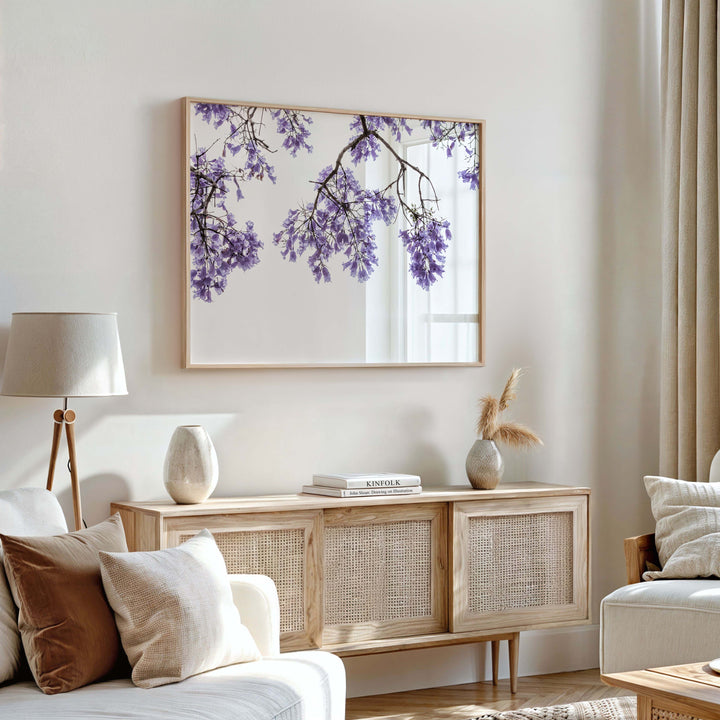 Jacaranda