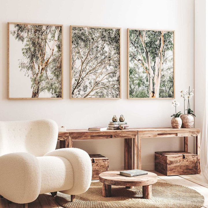 Valley Gumtree Trio