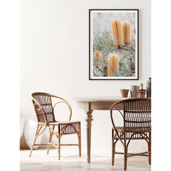 Banksia I - Frazer Beach