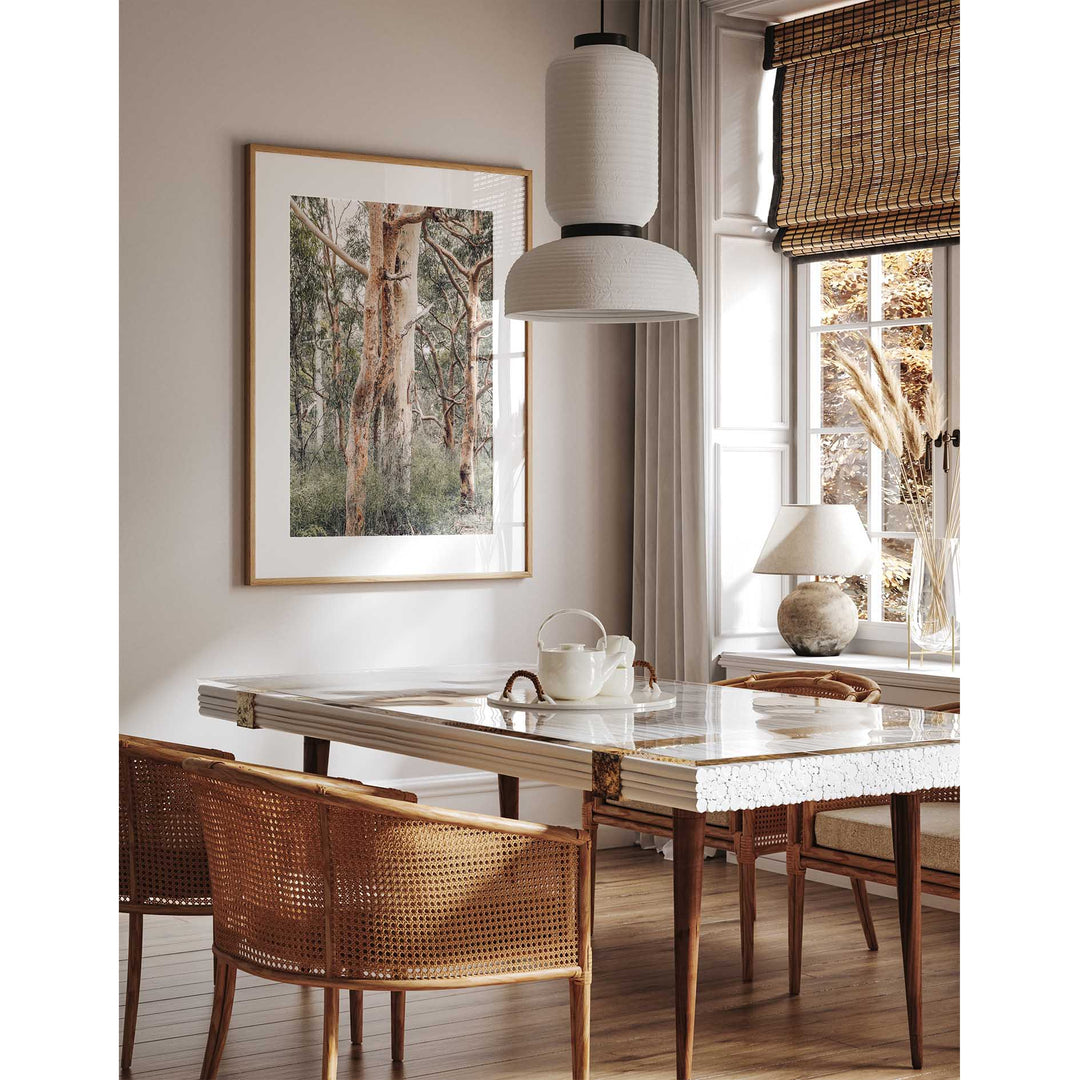 Red Gums - Port Stephens