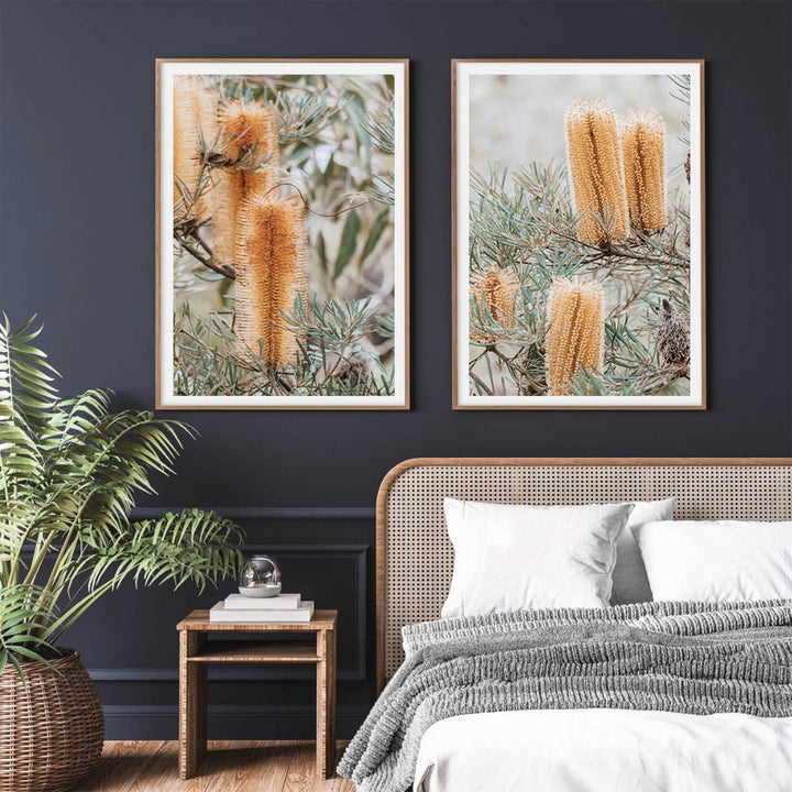 Banksia I - Frazer Beach