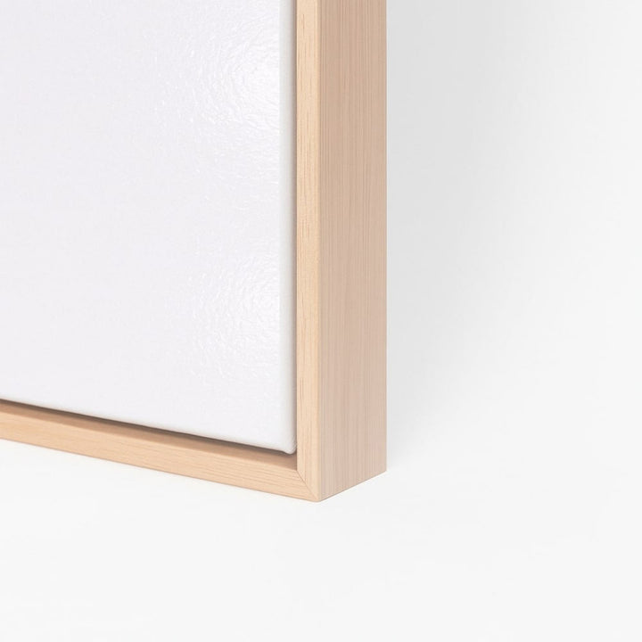Canvas Art