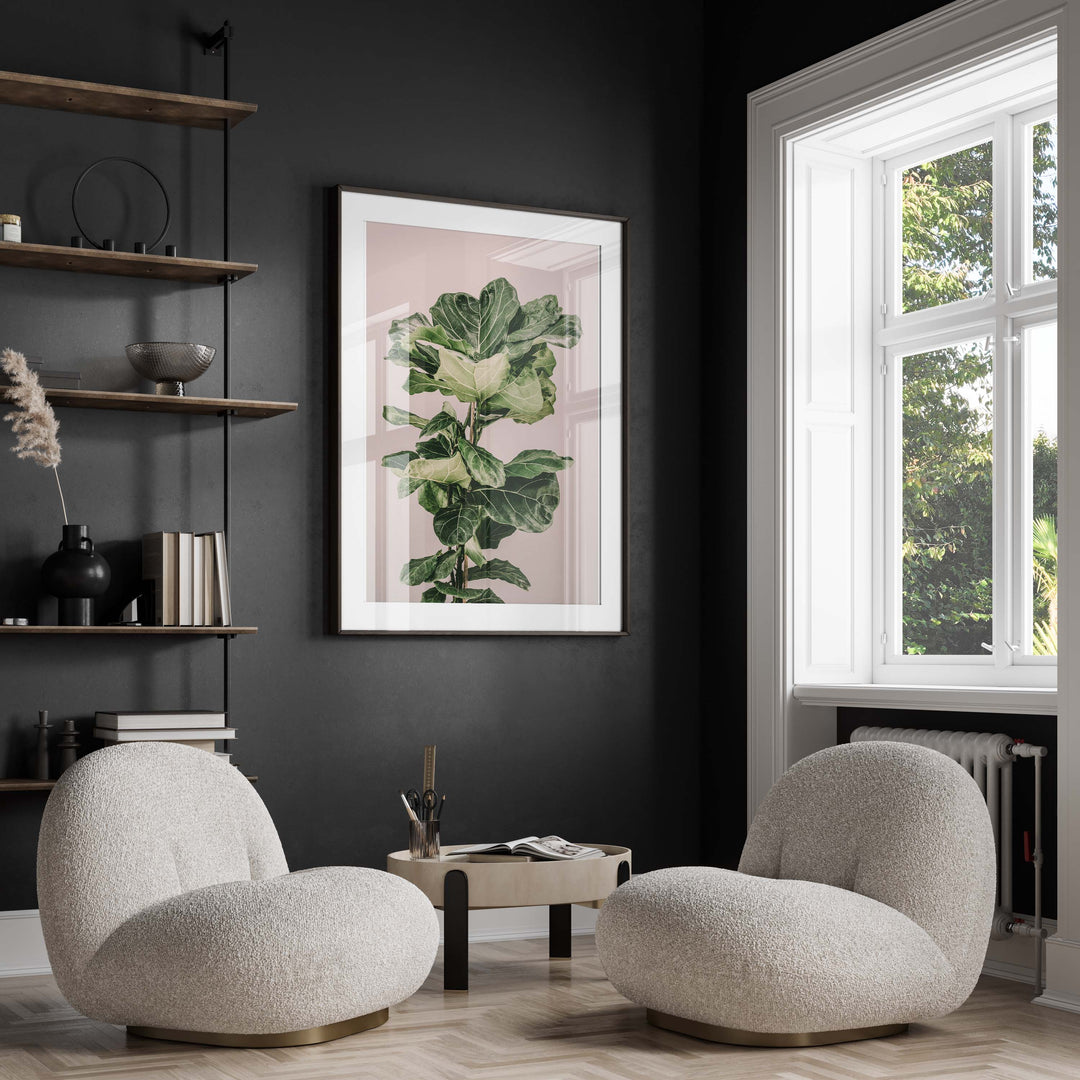Fiddle Leaf On Pink