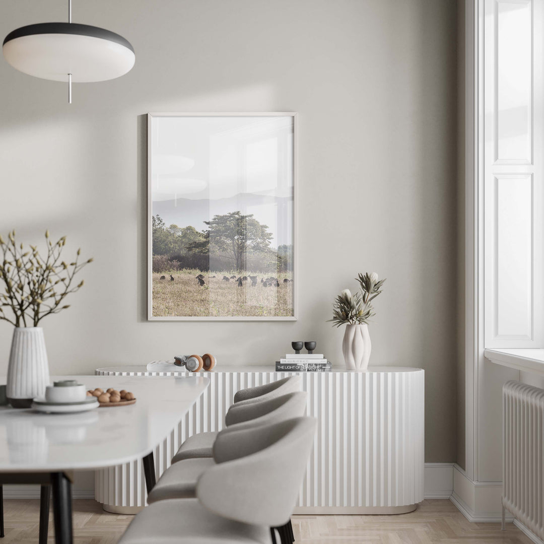 Paddock of Roos - Cairns