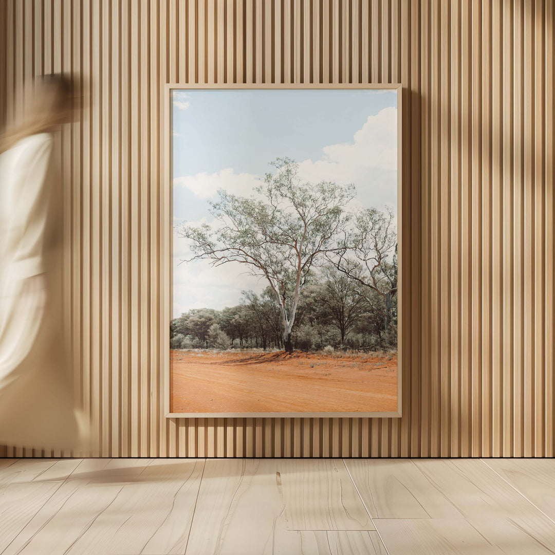 Gums of Gunabooka II