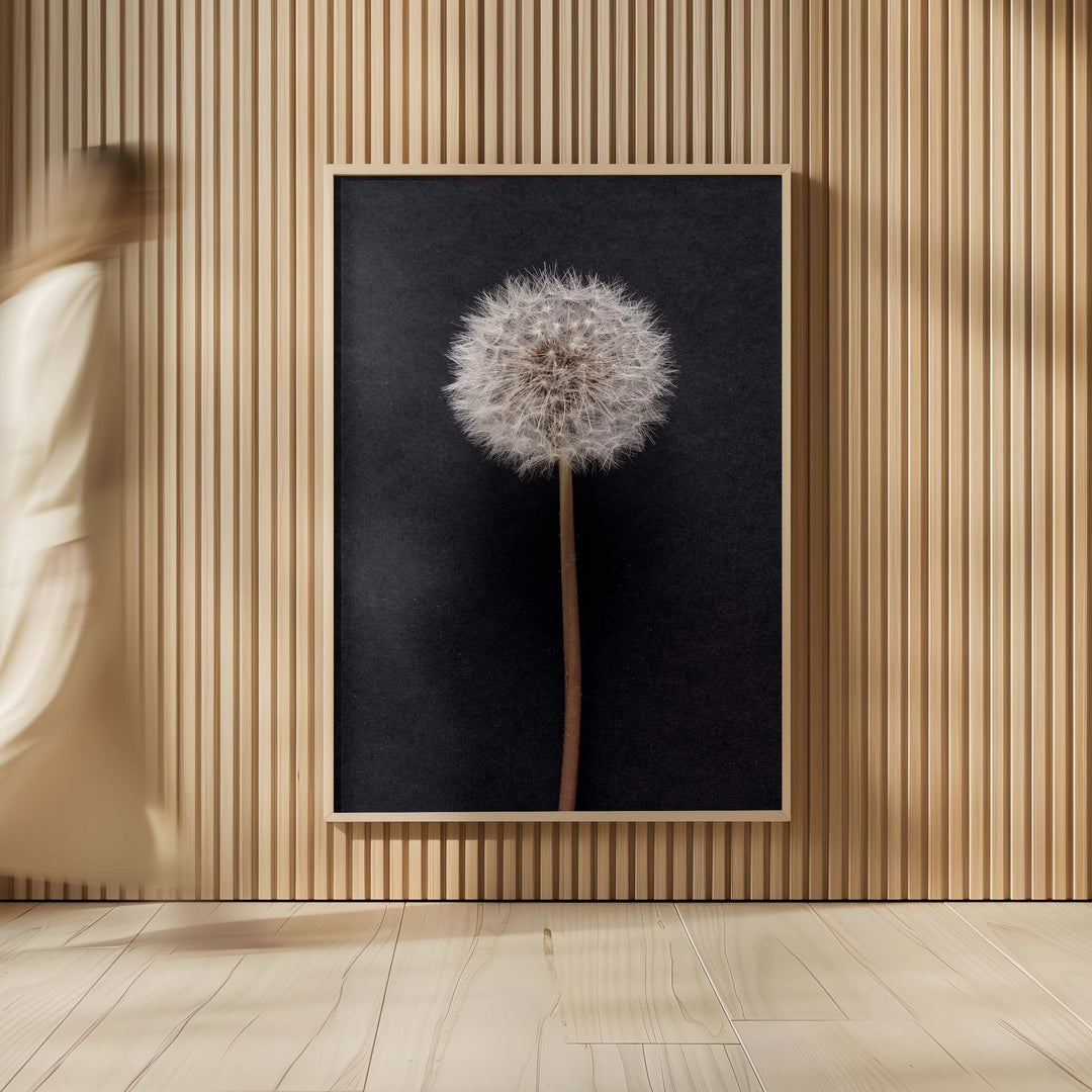 Dandelion no.3