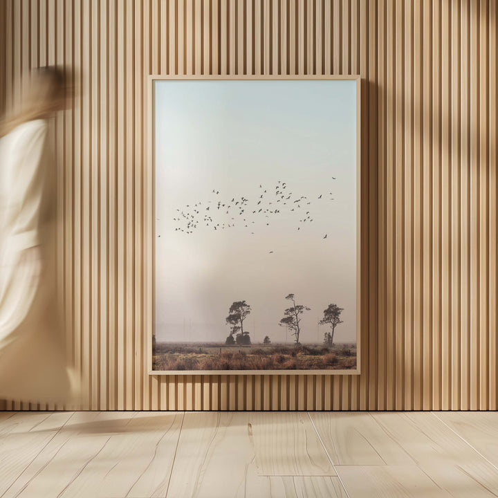 Birds At Sunrise no.1 - Stockton Beach