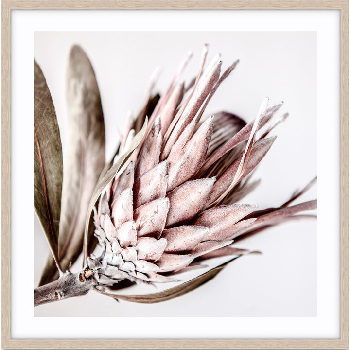 Native I - SQUARE (lighter version)