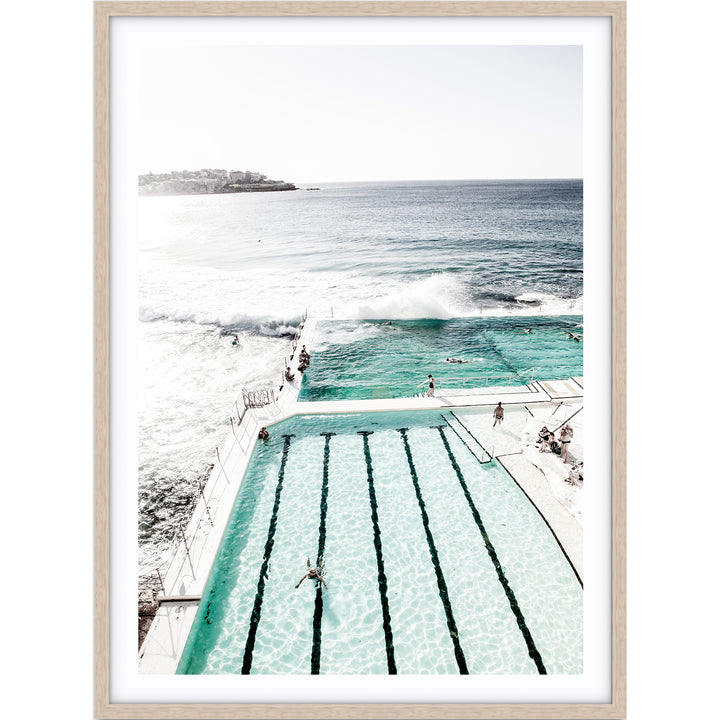 Bondi Icebergs I
