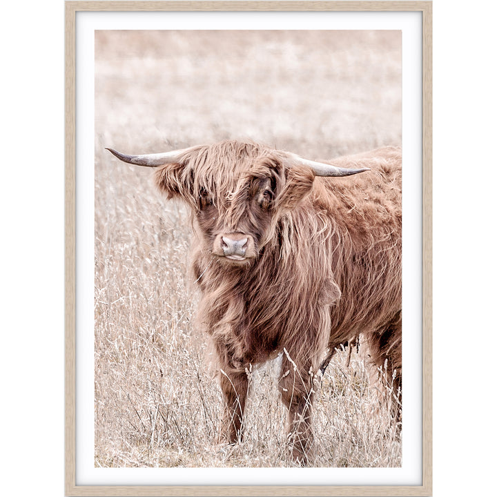 Highland II