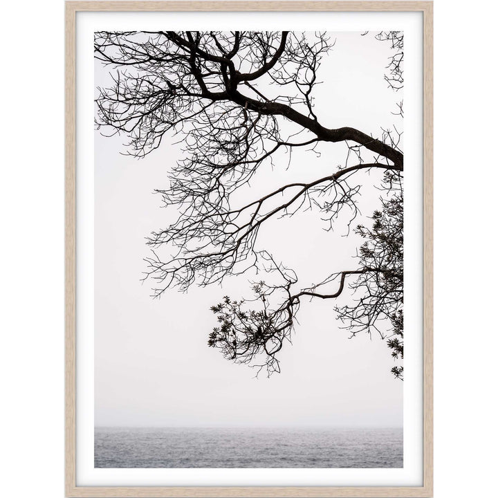 By The Sea - Bronte Beach