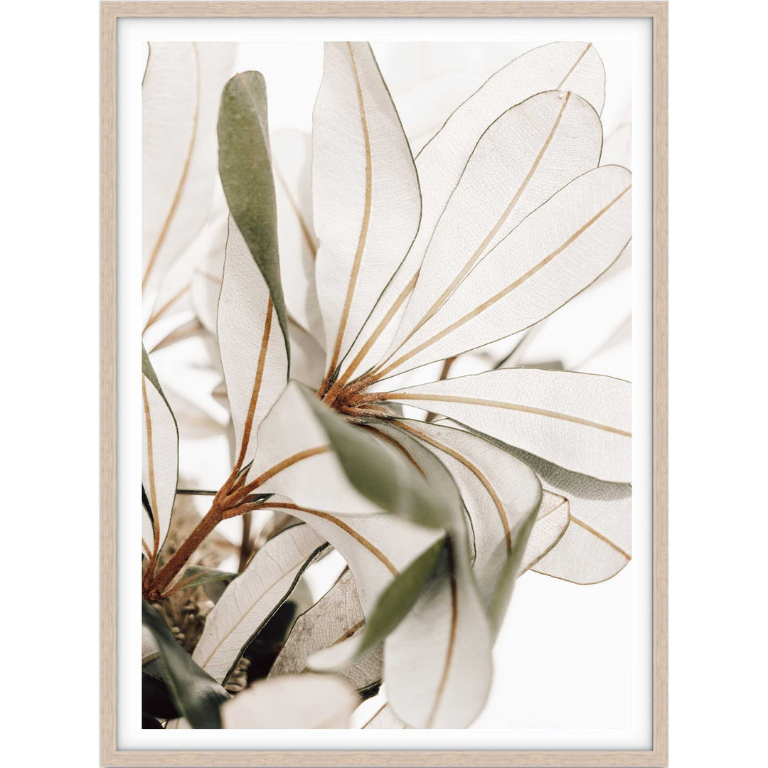 Fallen Foliage no.2