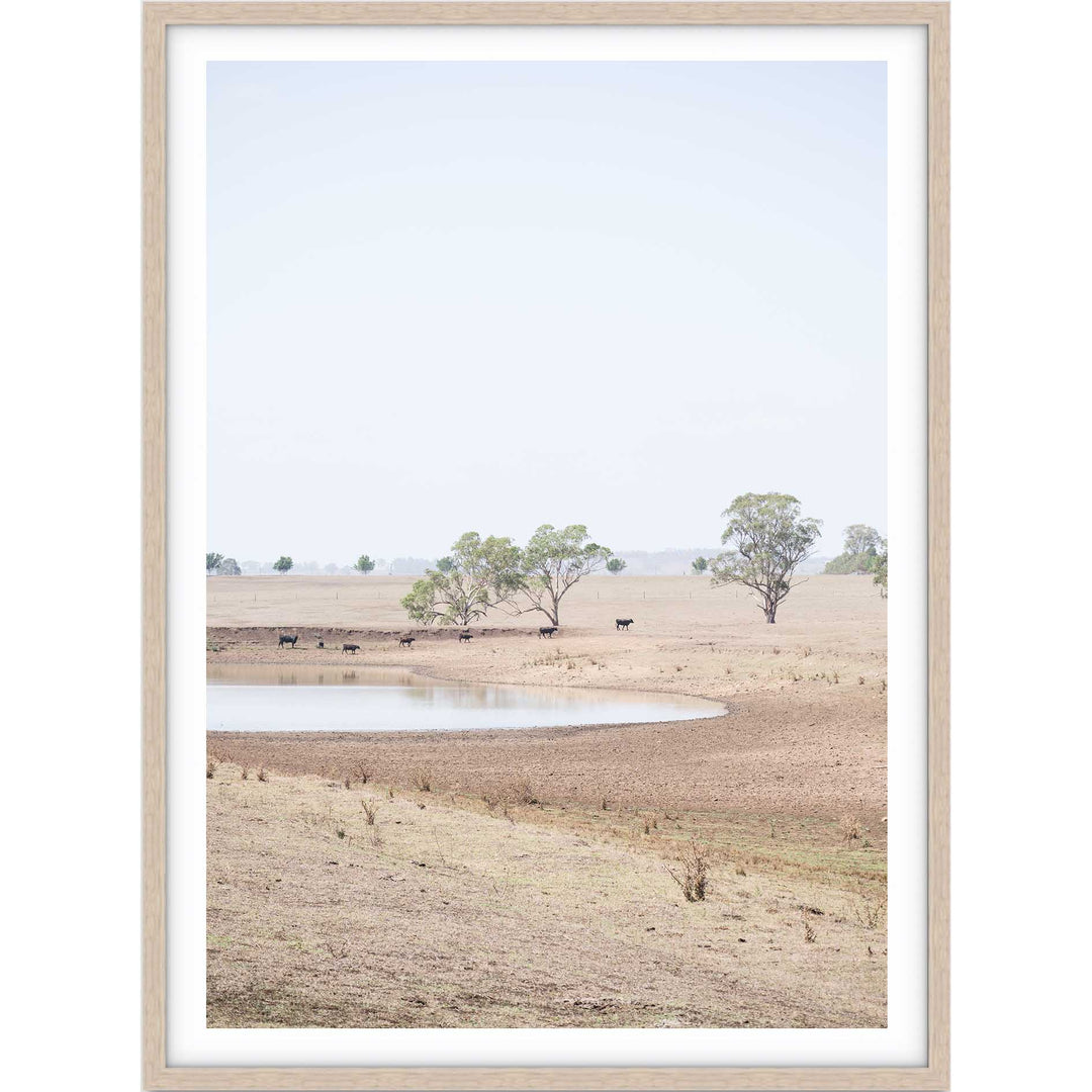 The Drought no.2 - The Hunter Valley
