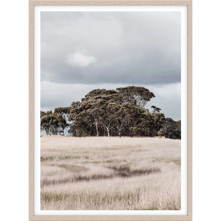 Country Life - Victoria