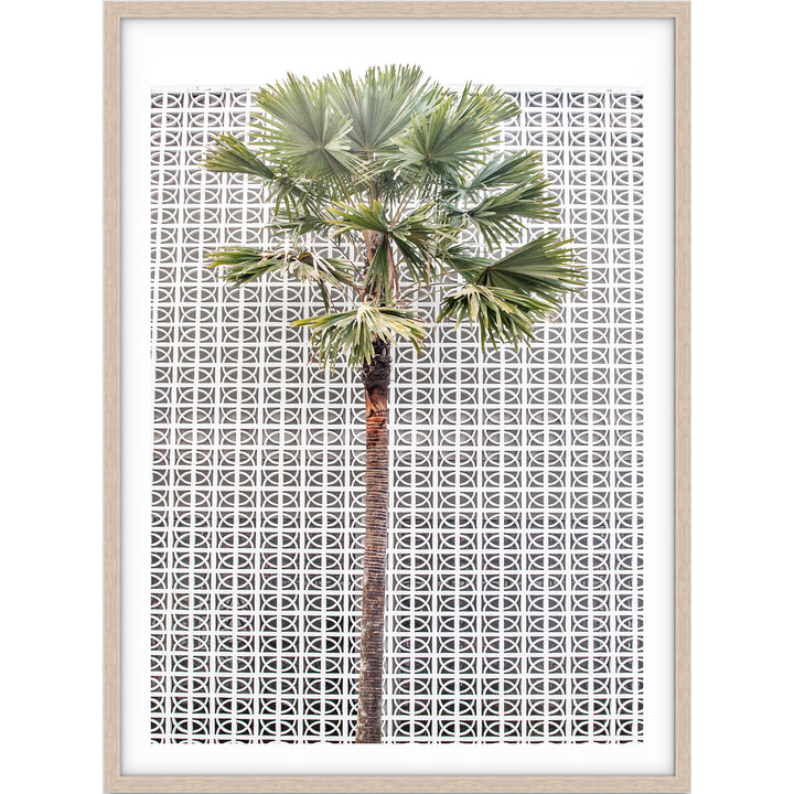 Breeze Block Palm no.1