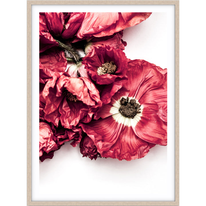 Poppy II