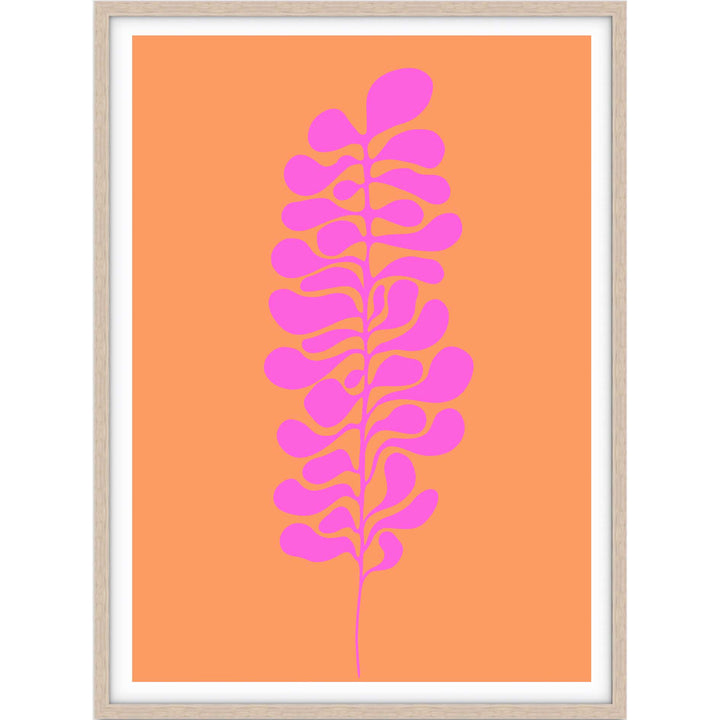Coloured Plant II