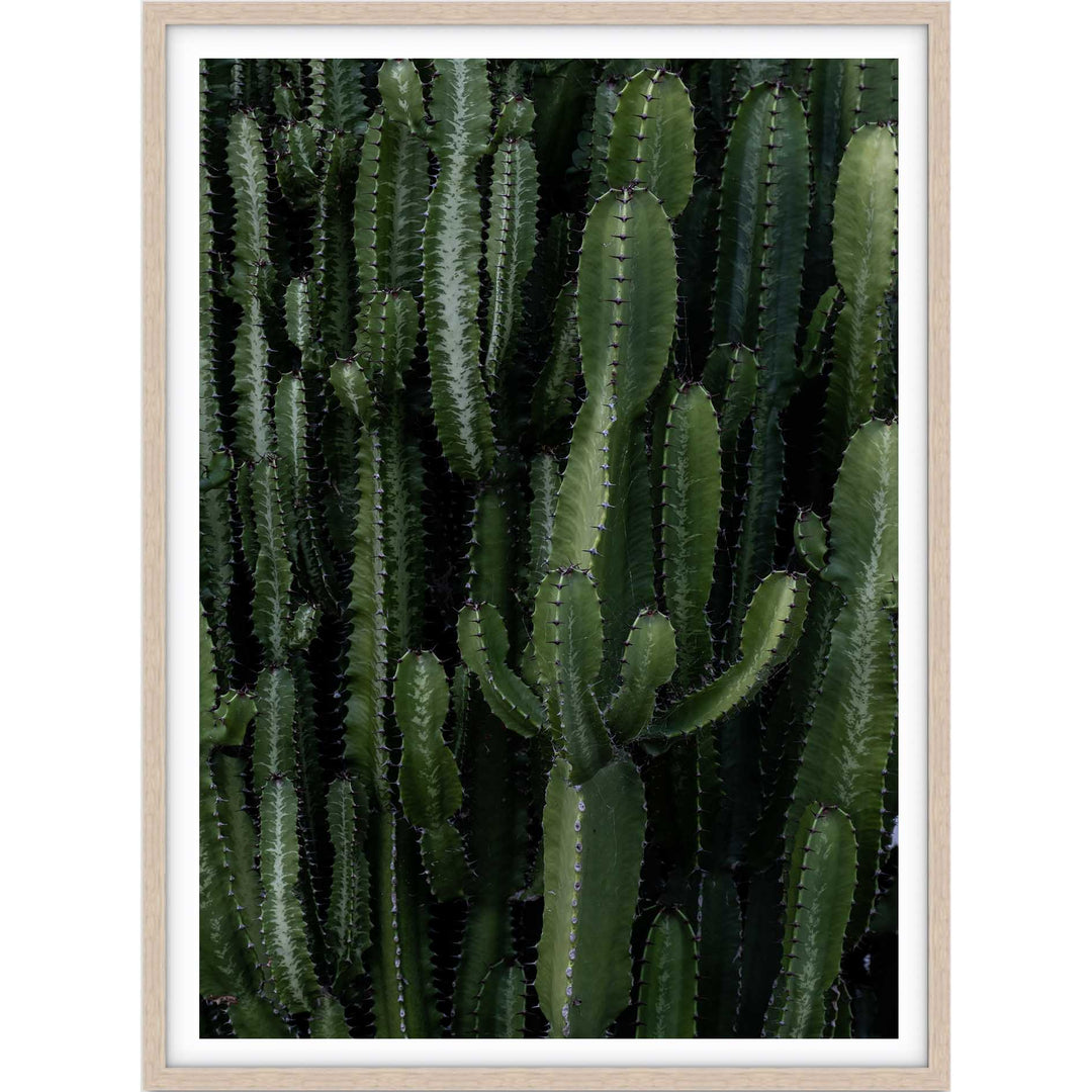Crowded Cactus