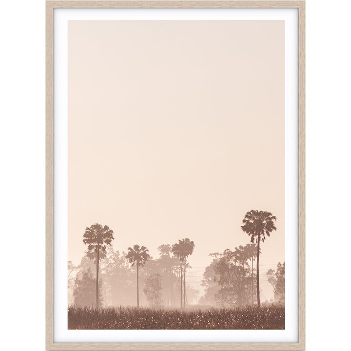 Sunrise Palms no.1 - Stockton Beach