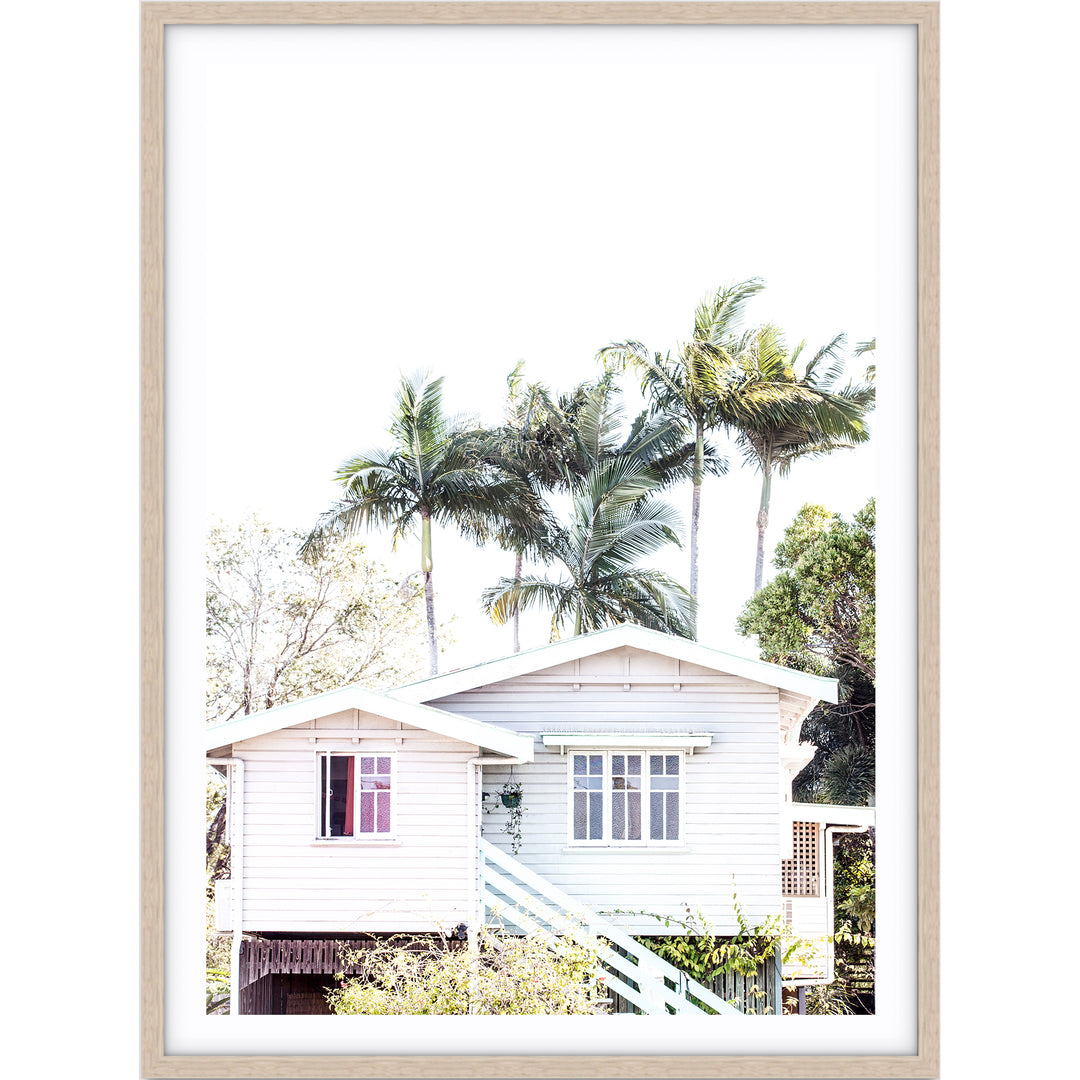 Tropicana IV - Port Douglas