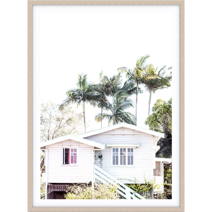 Tropicana IV - Port Douglas