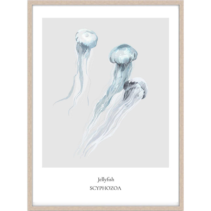 Jellyfish