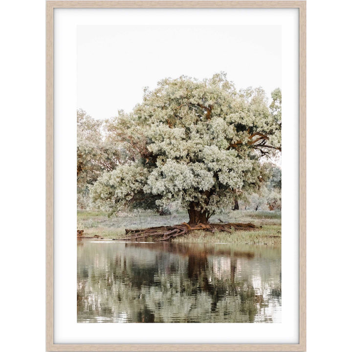 The Darling River Flooded I