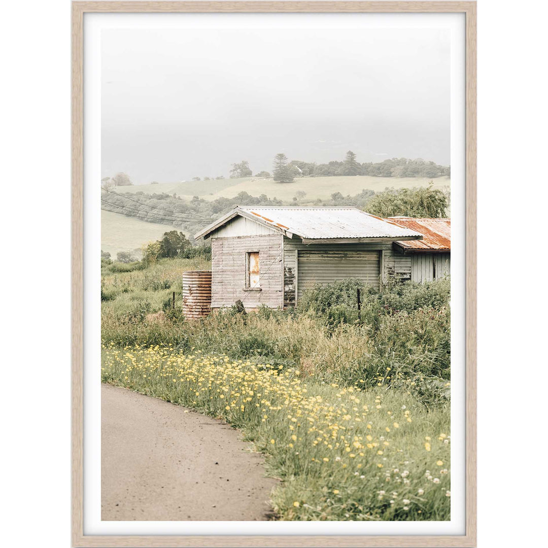 Country Side - Jamberoo