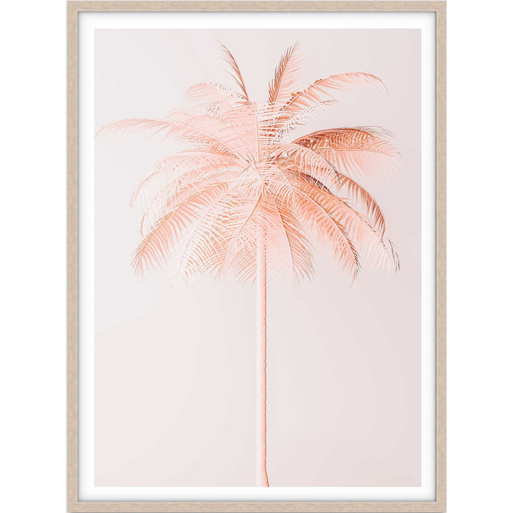 Peachy Palm