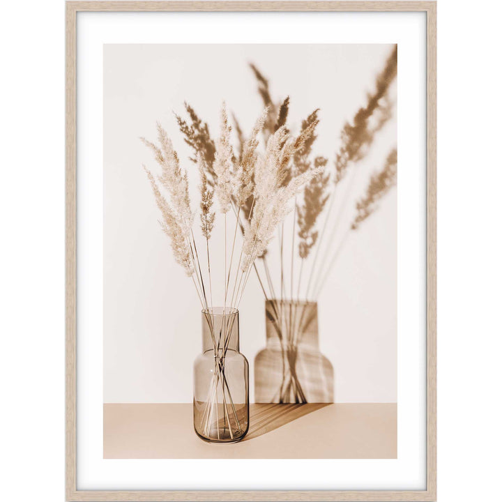 Antique Pampas