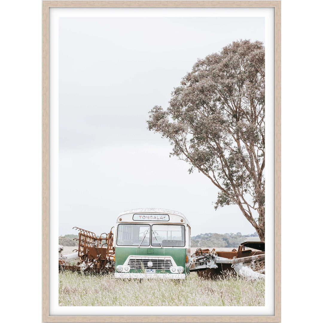 Abandoned Bus no.1 - Victoria