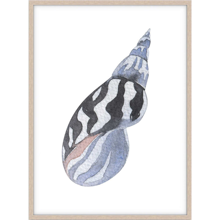 Shell no.3