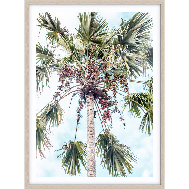 Canggu Palms no.2