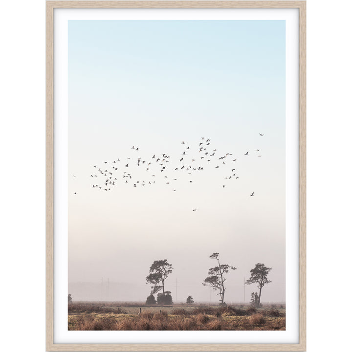 Birds At Sunrise no.1 - Stockton Beach