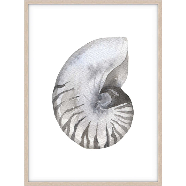 Shell no.2