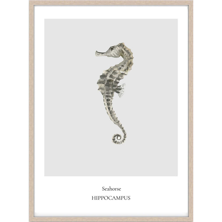Seahorse