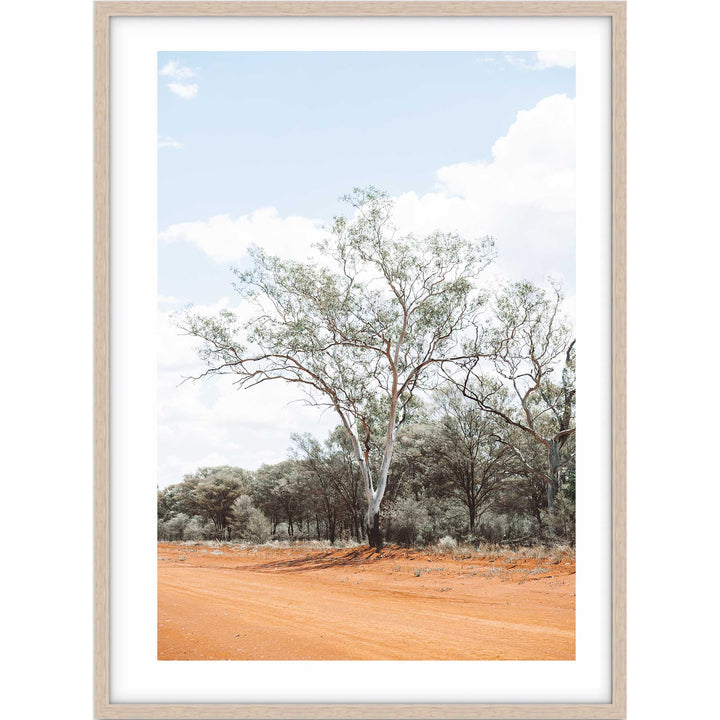 Gums of Gunabooka II