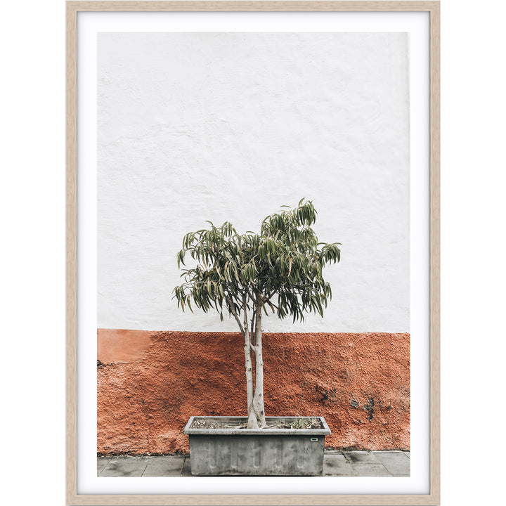 Terracotta Wall - Santorini