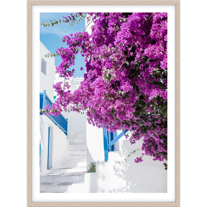 Bright Isle Blooms