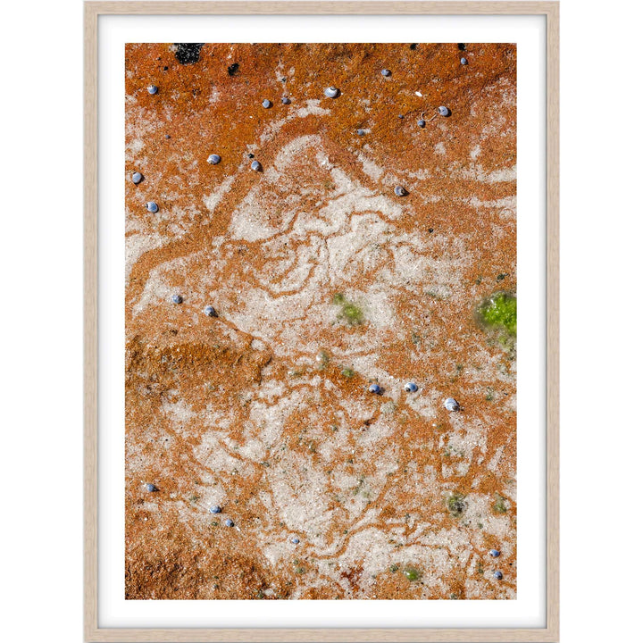 Traces in Ochre