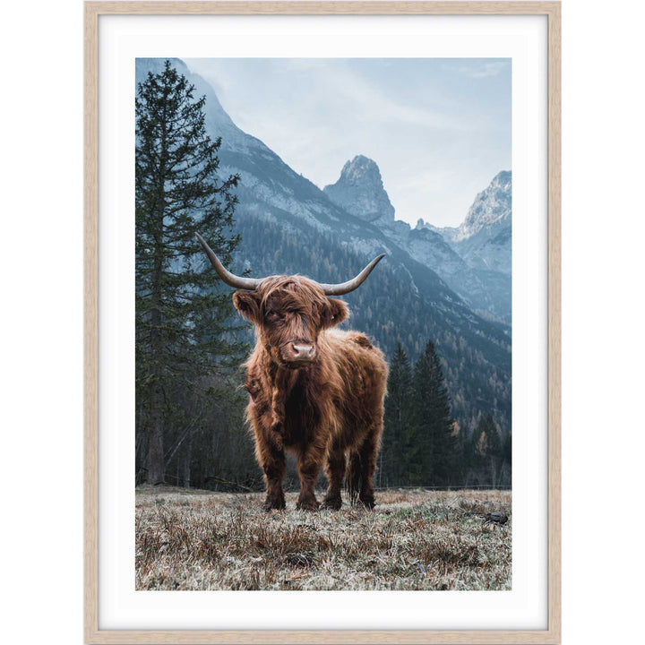 Wild Highland I