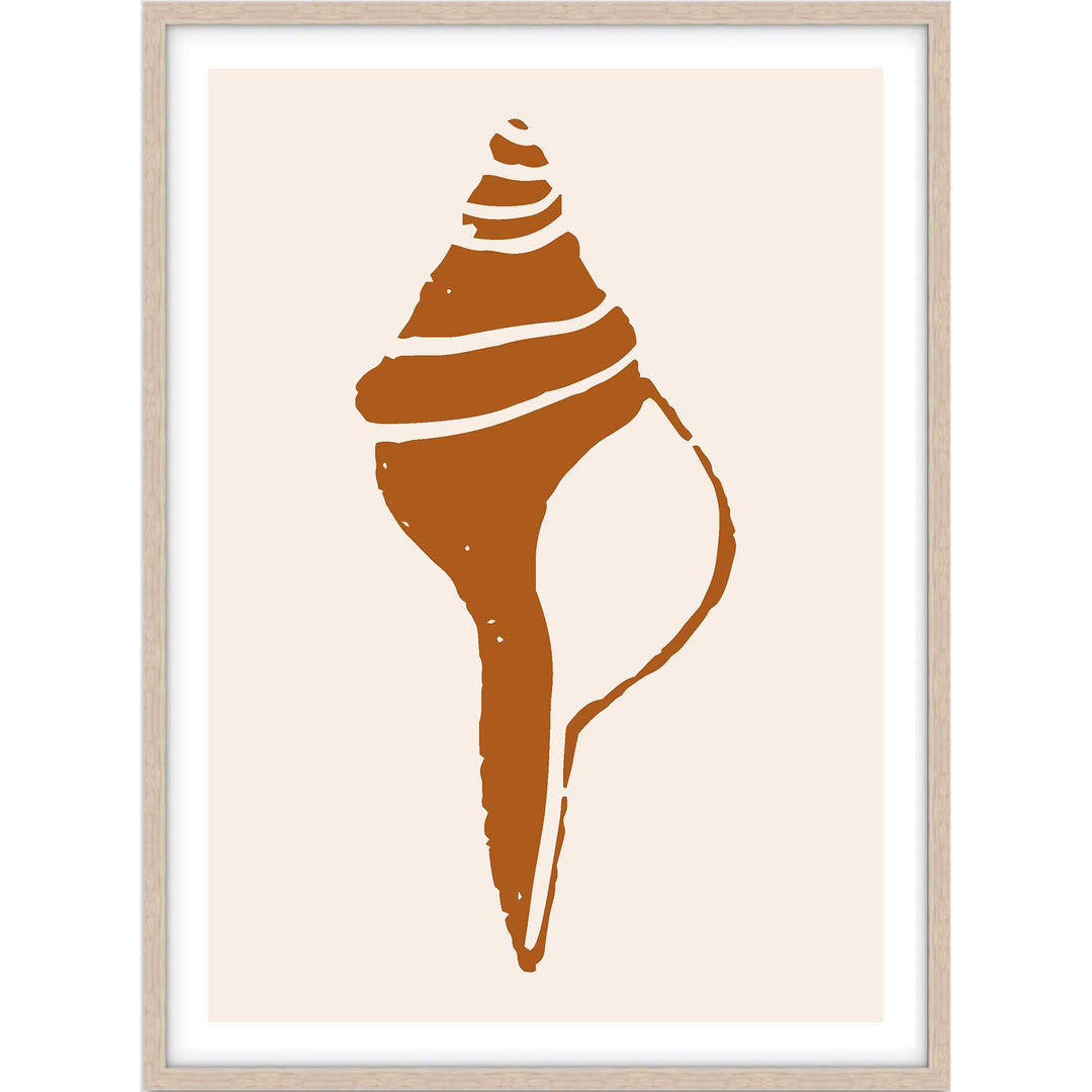 Terracotta Shell no.3