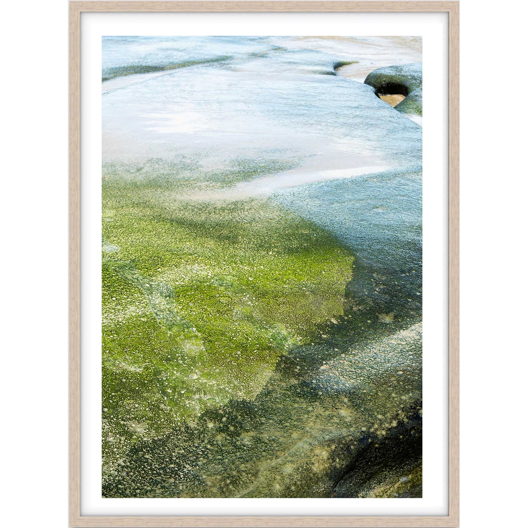 Salt & Moss I