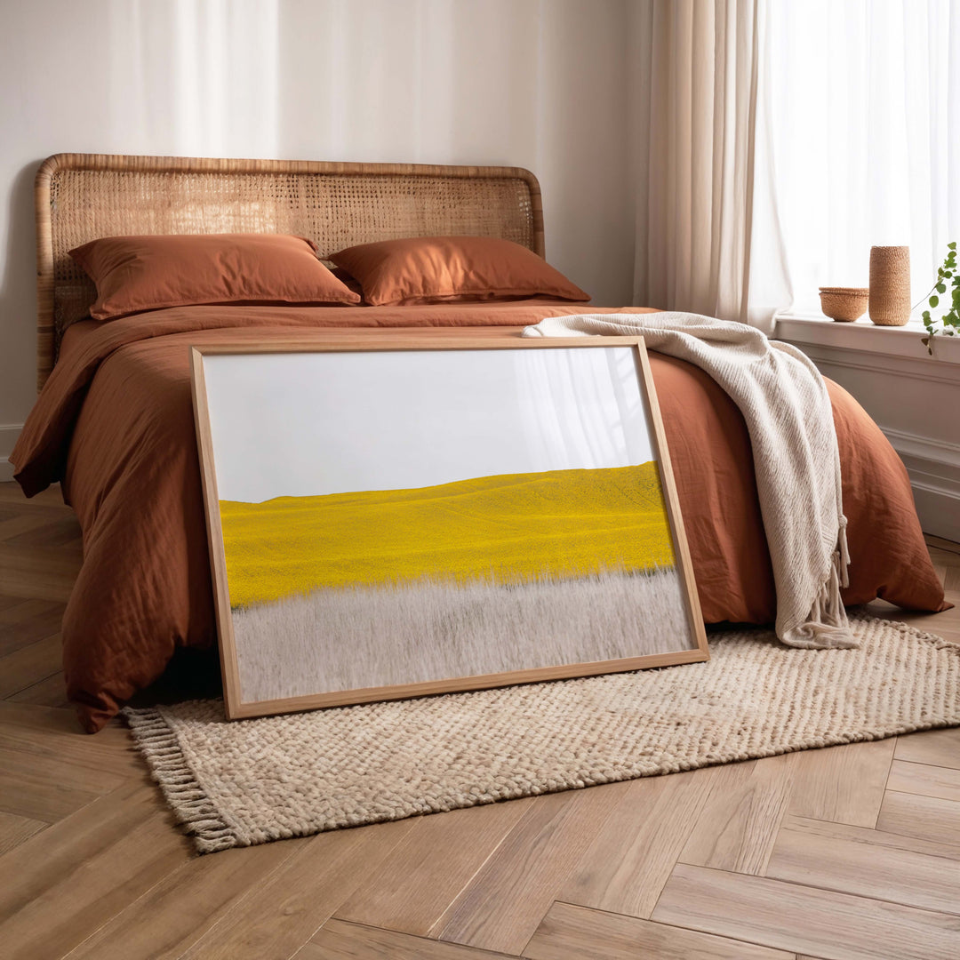 Canola II - Country Victoria